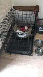 Dog Crating: How To Successful Crate Your Cockapoo 4 dog crating