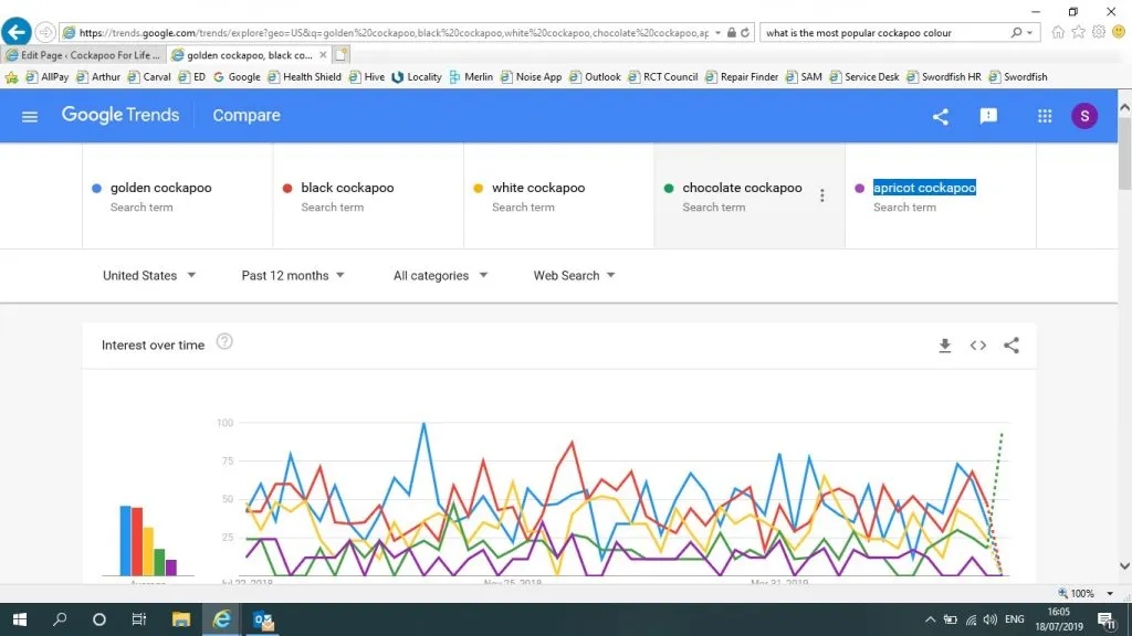 Golden Cockapoo: 5 Reasons They Are So Popular 1