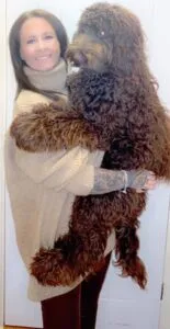 Cockapoo Sizes 2025: The Smart Guide To Ensure You Buy The Right Size Cockapoo 4 standard plus cockapoo